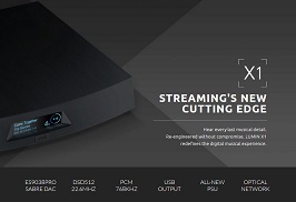 X1